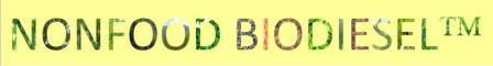 10nonfood