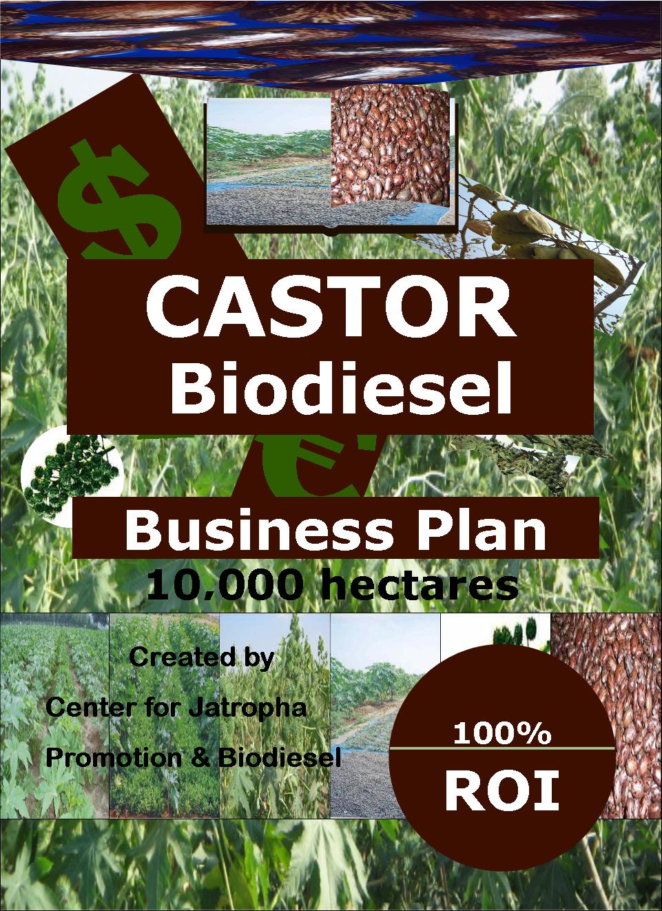 CASTOR BIODIESEL10 KPLAN