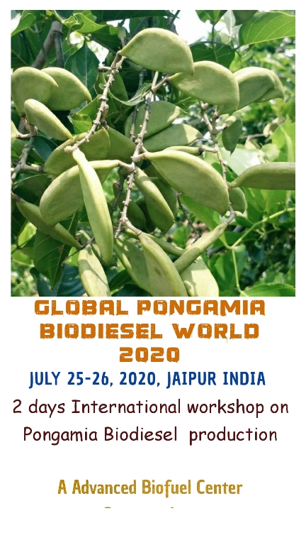 1pongamiaworld 1pongamiaworld