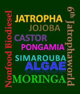 6th_Jatrophaworld_2013