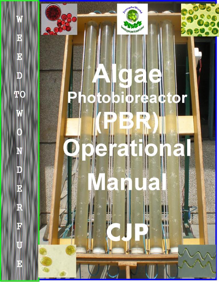 ALGAE_PBR