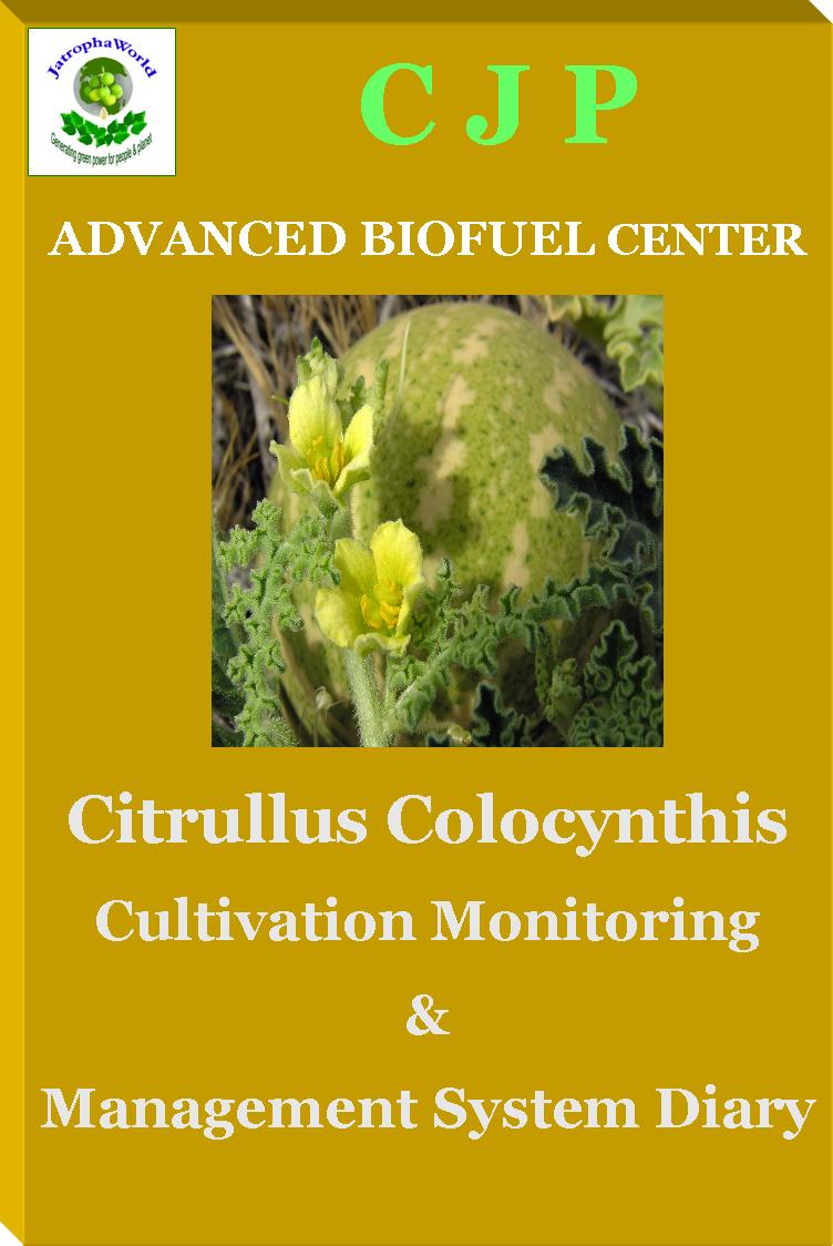Citrullus Colocynthis farming 