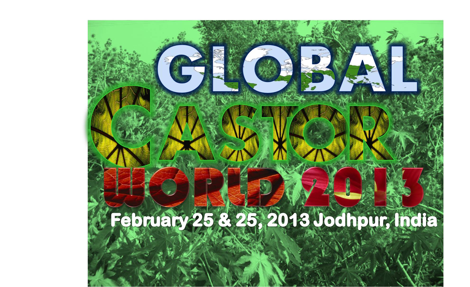 globalcastorworld2013