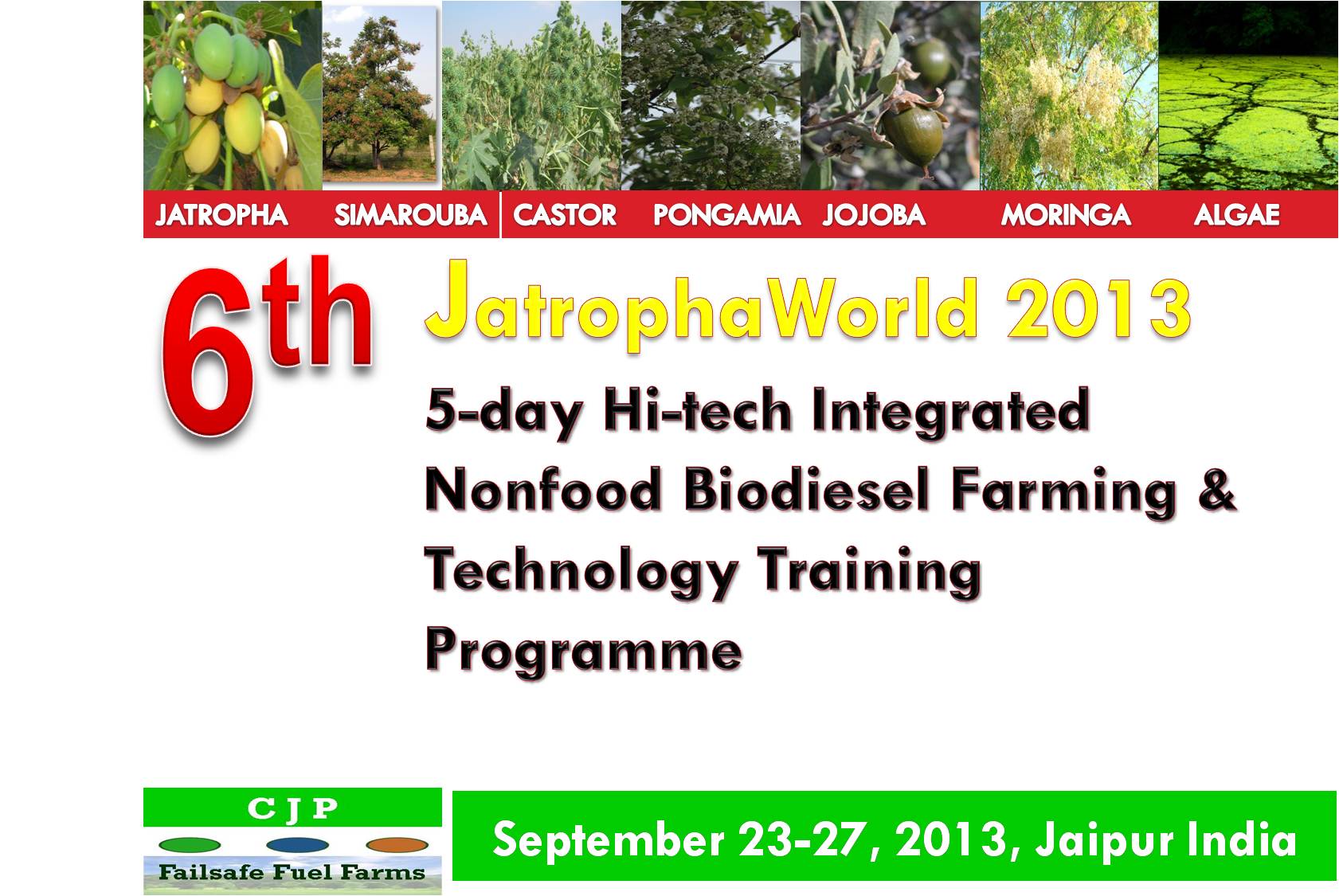 6th jatrophaworld