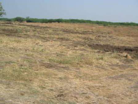 Landcleared