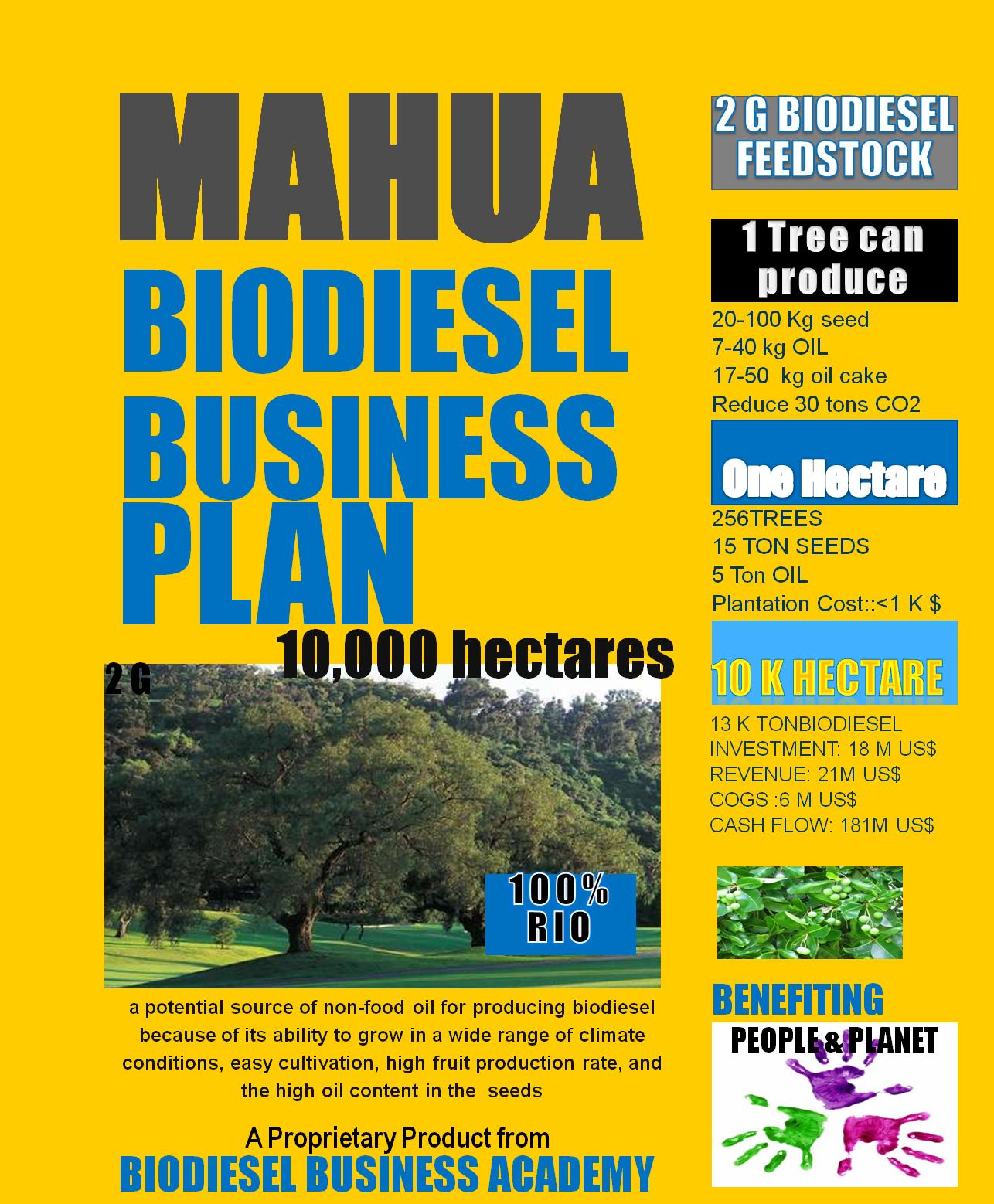 mahua biodiesel business plan 10 k ha