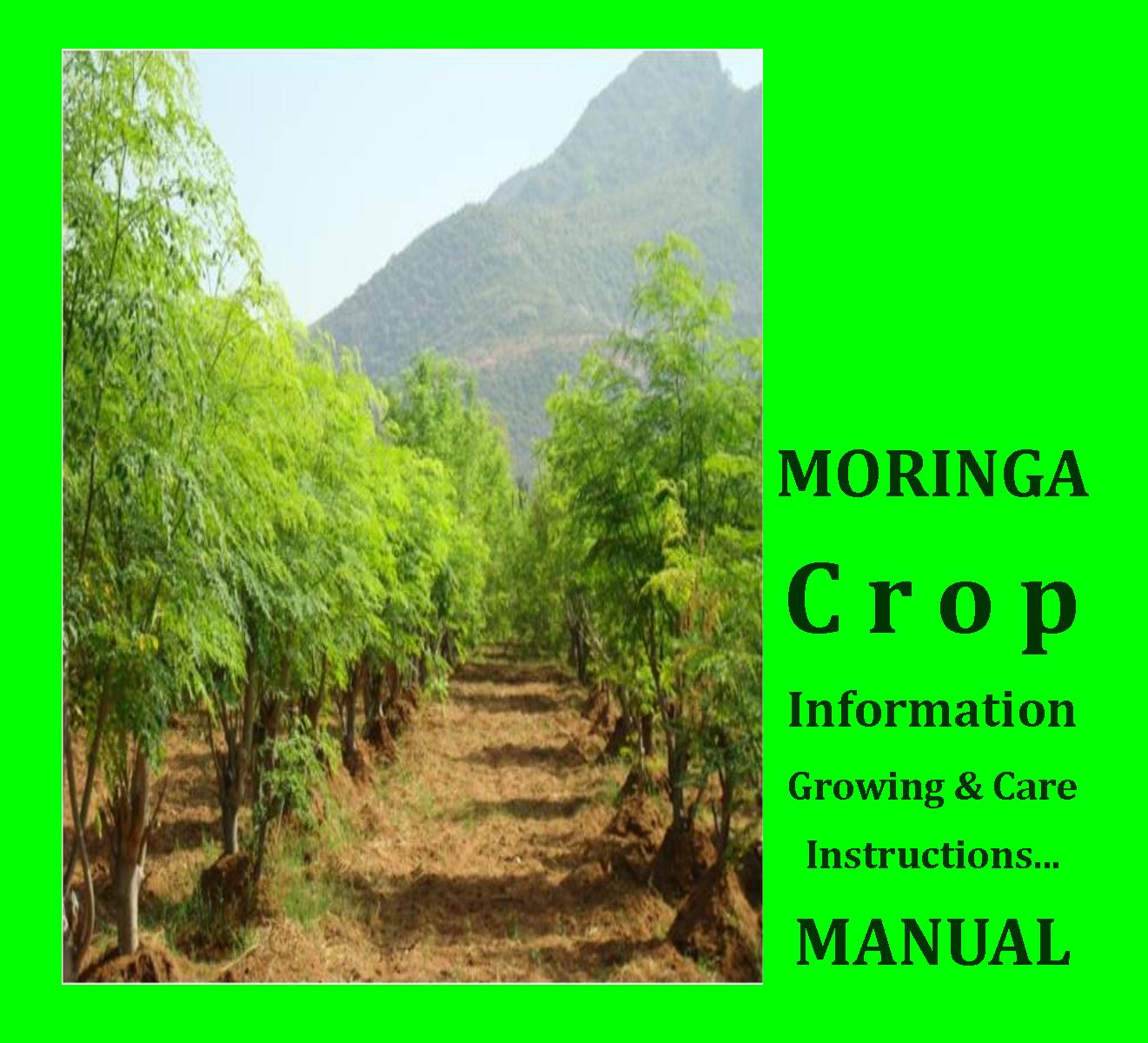 MoringaBook_cjp