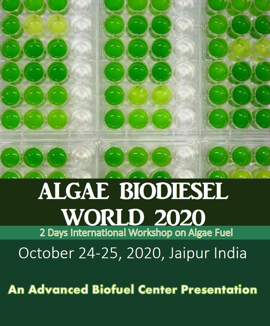 algare2020 algare2020