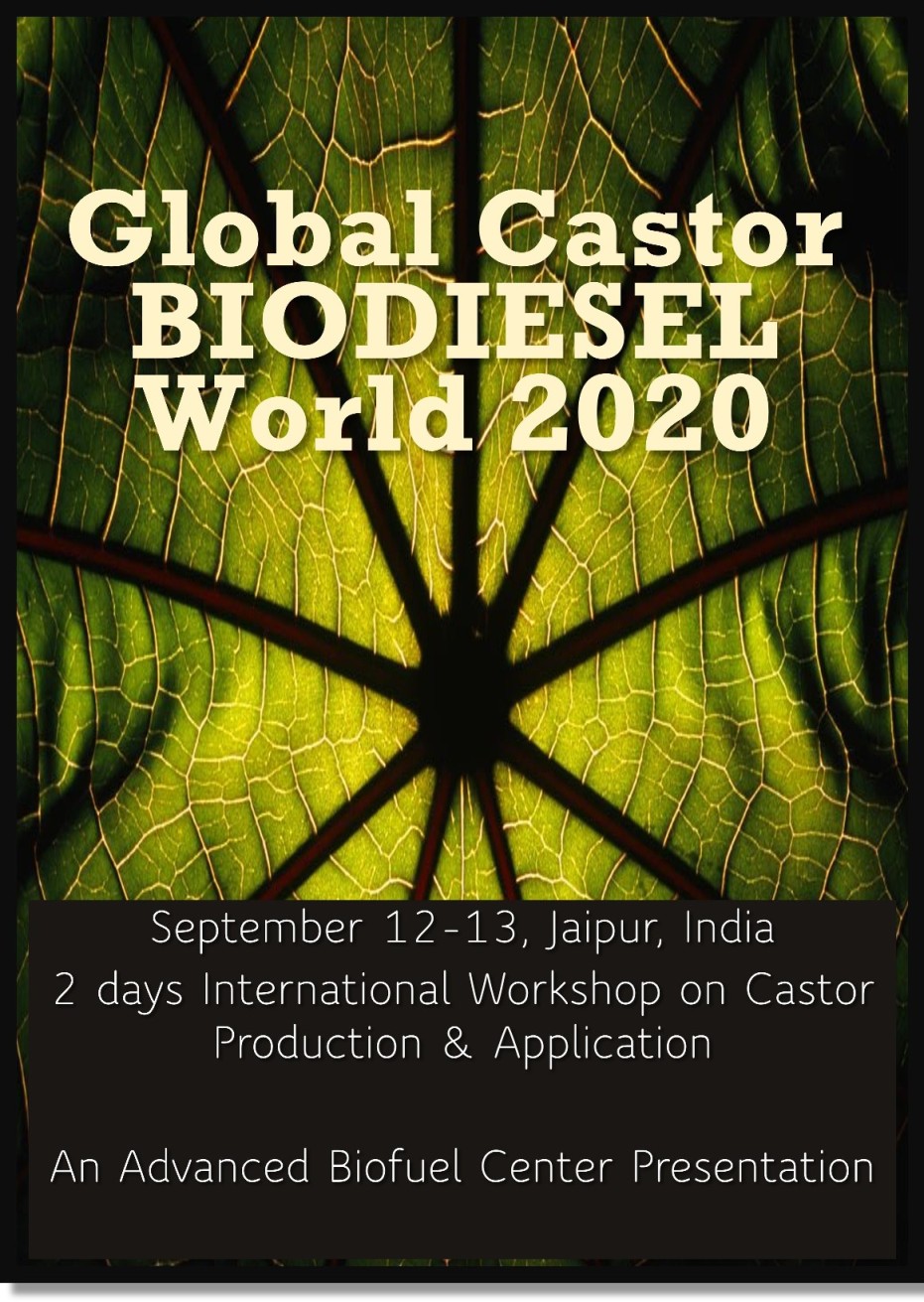 castorworld2020 castorworld2020