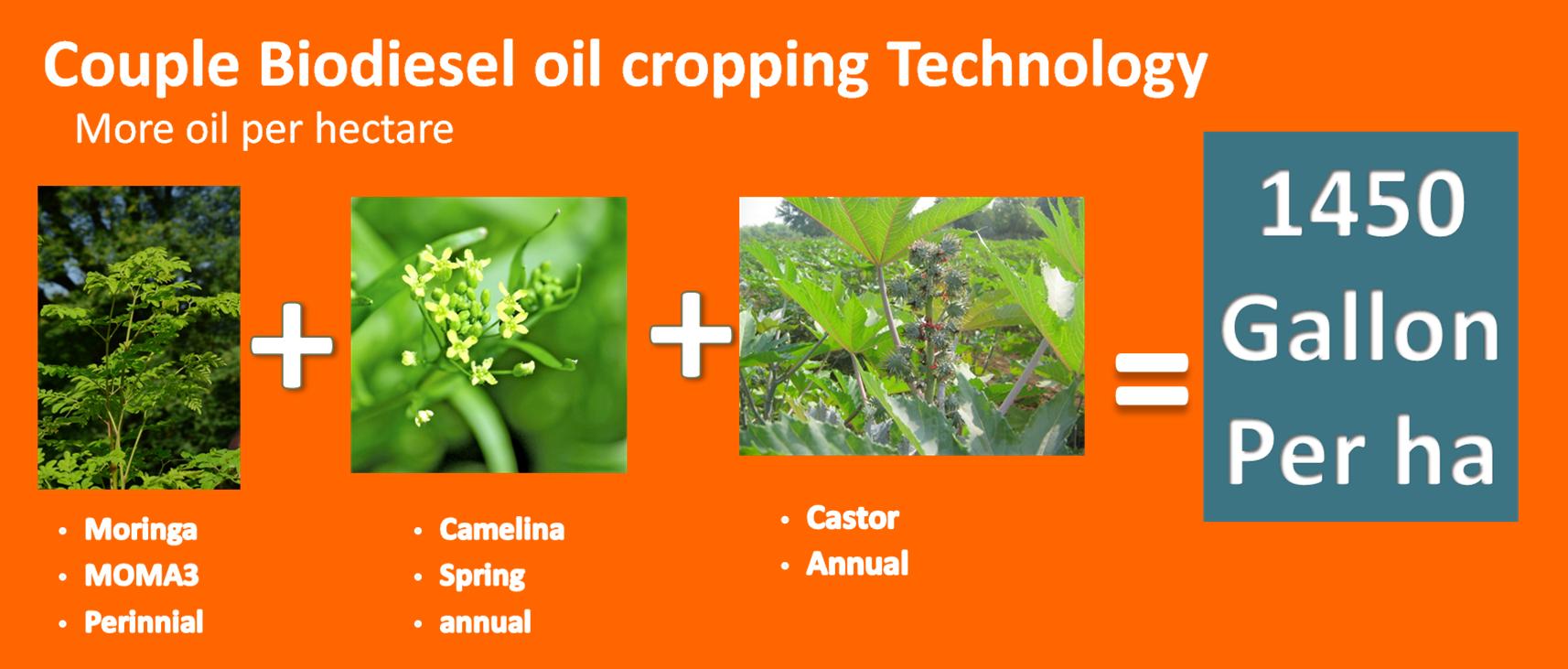 couplecroppingbiodieselcrop