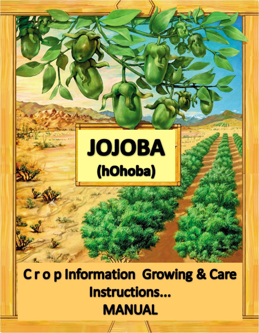 jojoba crop guide jojoba crop guide