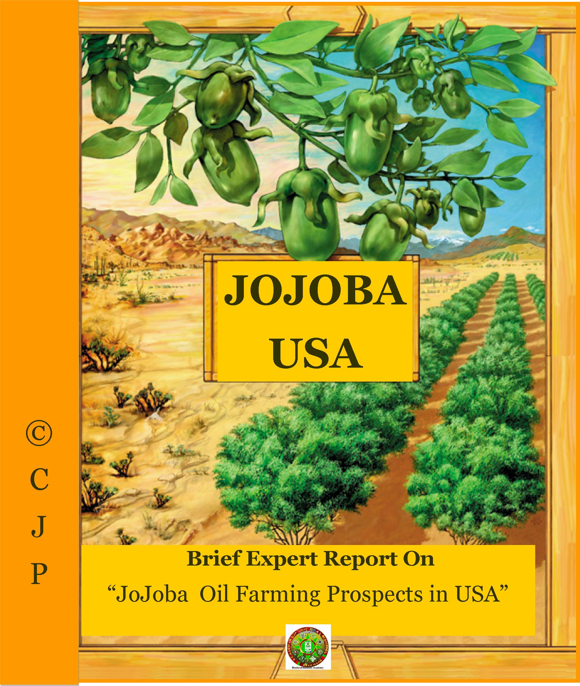 country report jojoba USA