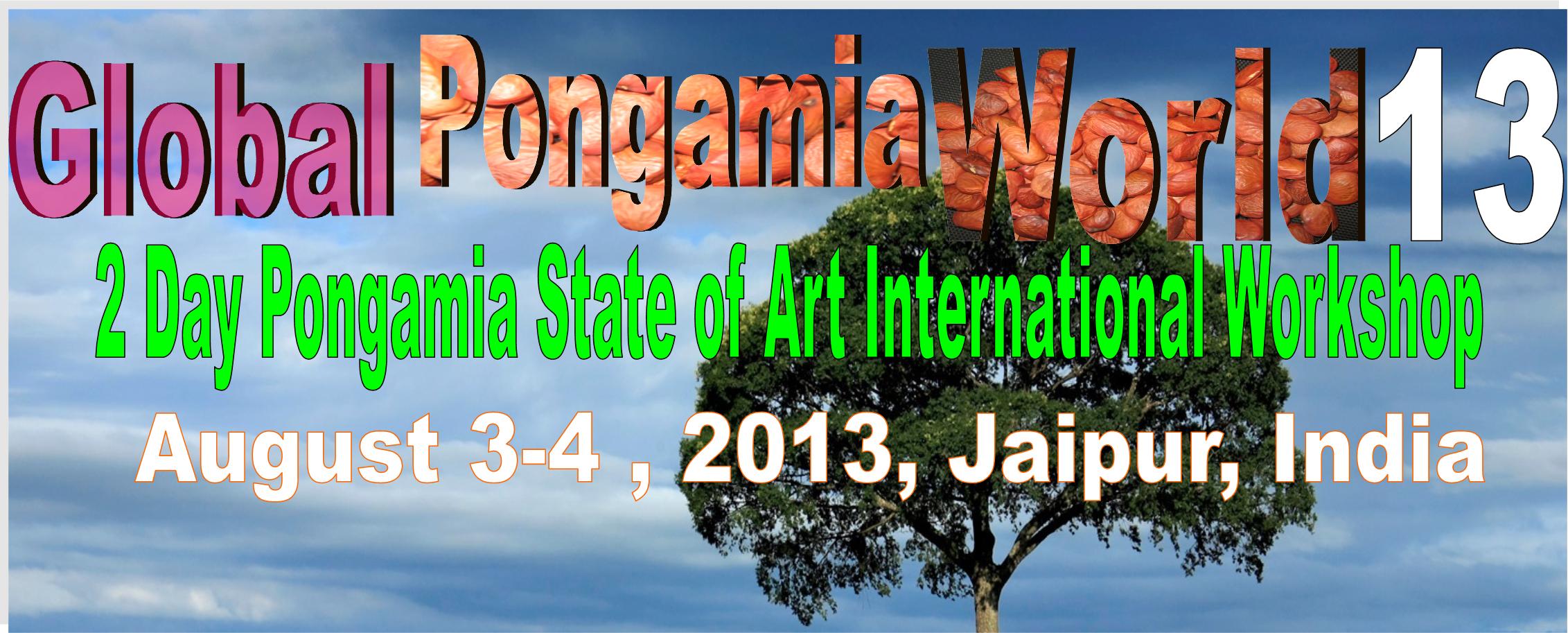 global pongamia world 2013 global pongamia world 2013