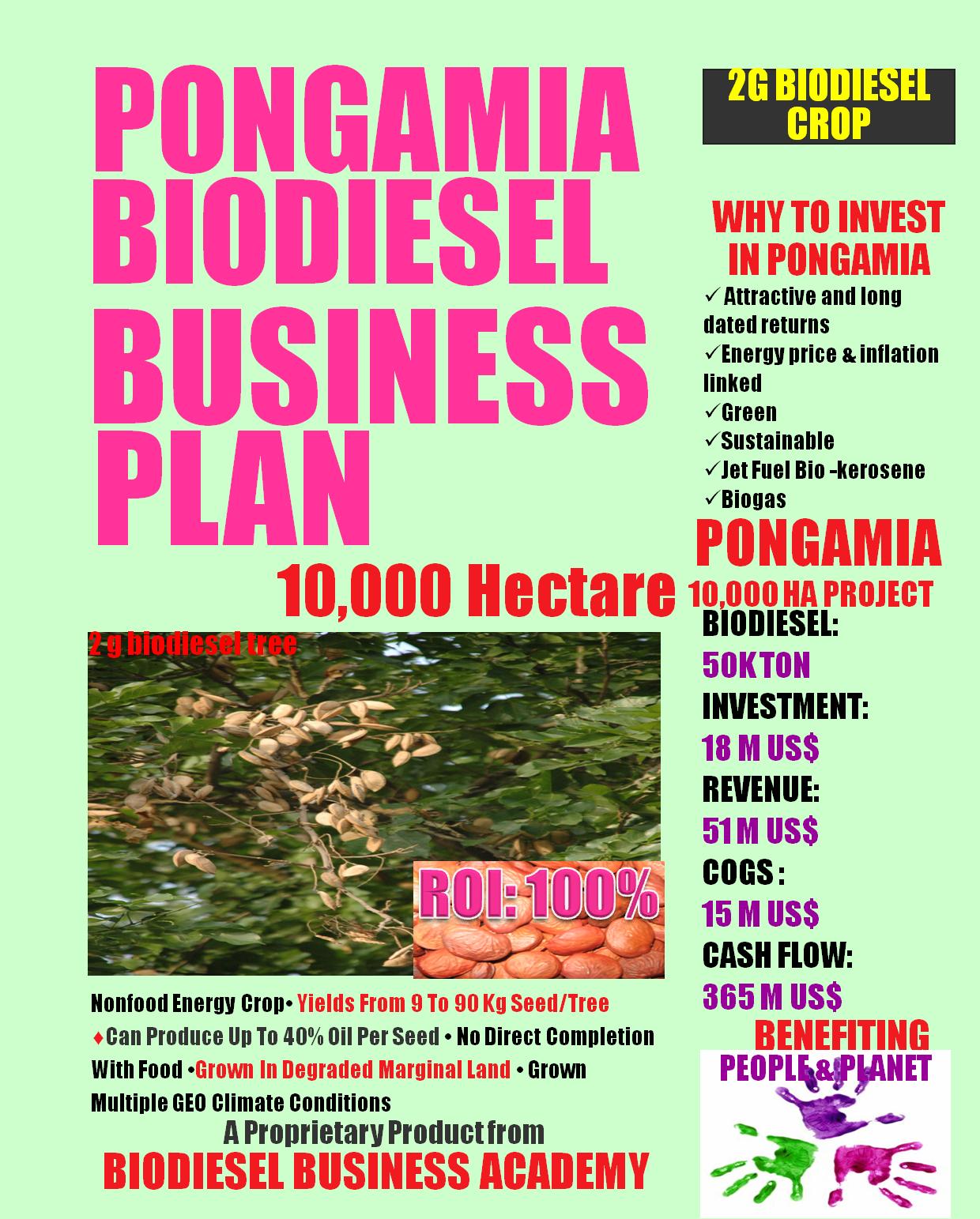 Essay Grader Pongamia Biodiesel Business Plan Pongamiabiodieselbusinessplan Make Essay Longer also The Scarlet Letter Essays Essay On Biofuels Biodiesel Term Paper Biodiesel Hashtag On Pongamia The Cask Of Amontillado Essay